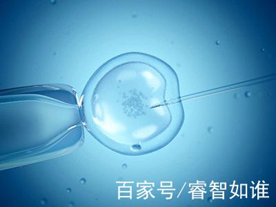 三代试管供卵机构男孩
